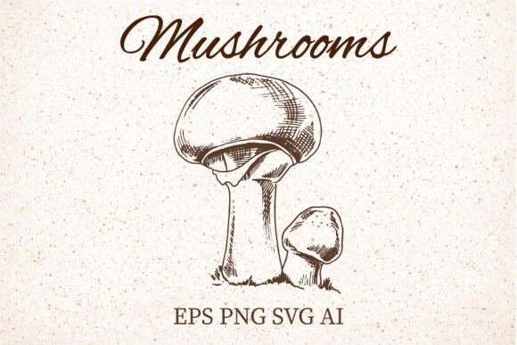 Vintage Mushroom Engraving: A Charming Graphic for Local Brands